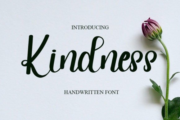 Kindness Font for Modern Web Design